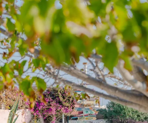 Caveland Hostel Καρτεράδος