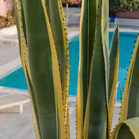 Caveland Karterados (Santorini)